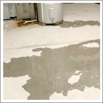 Leak Detection in Southwest Florida